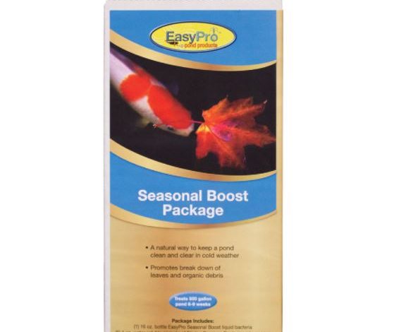 SBK16 Seasonal Boost Kit for Spring and Fall – 16oz liquid and six 1 oz dry bacteria